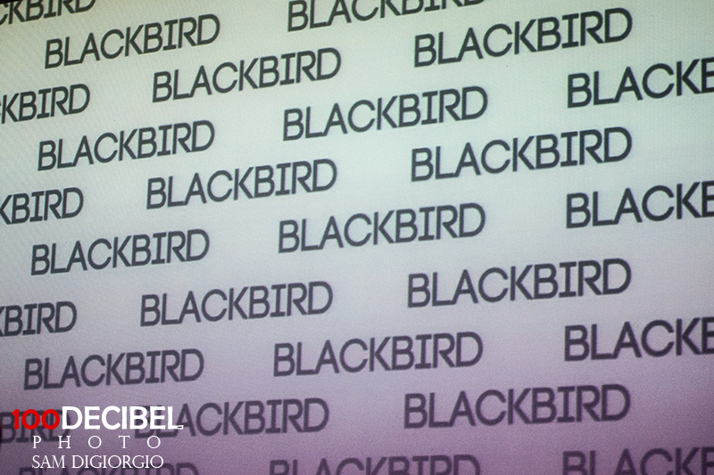 Blackbird Blackbird - Sam DiGiorgio