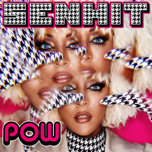 SENHIT_COVER_POW b