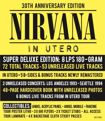 Nirvana In Utero 30