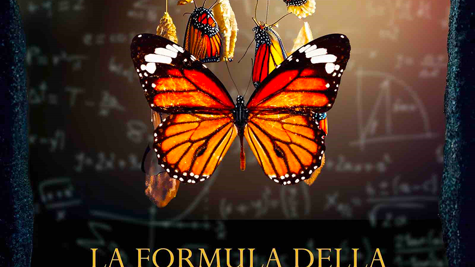 cover 2