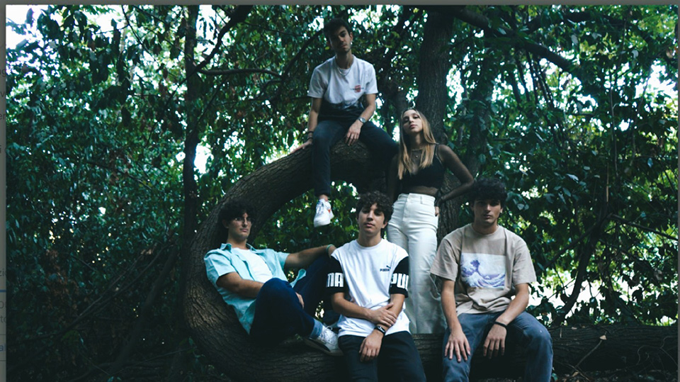 comfortzone-live-al-quid