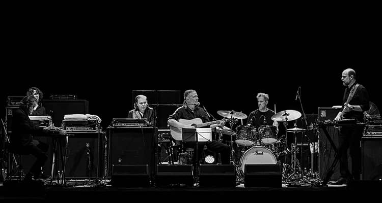 the-swans-in-italia