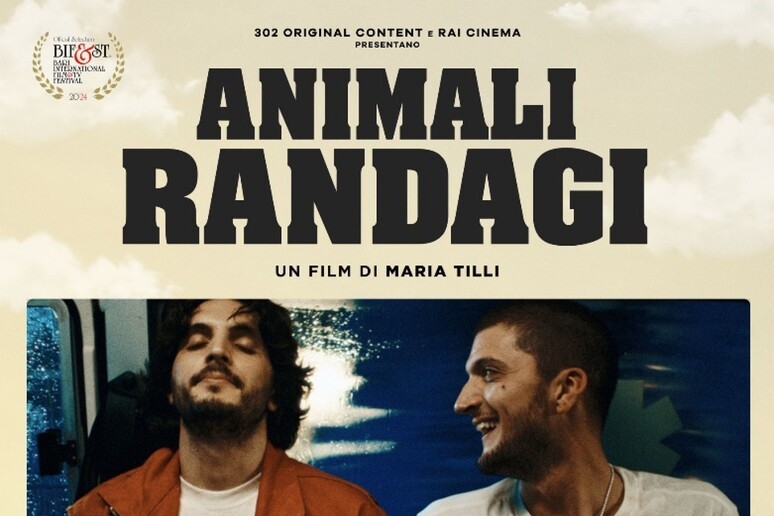 bifst-2024-animali-randagi