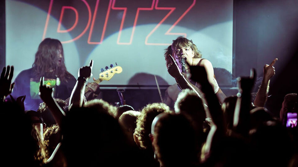 Ditz