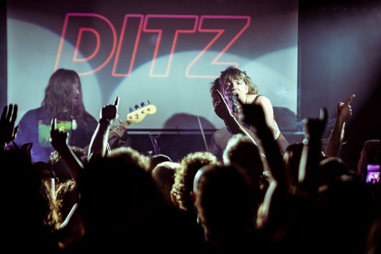 Ditz