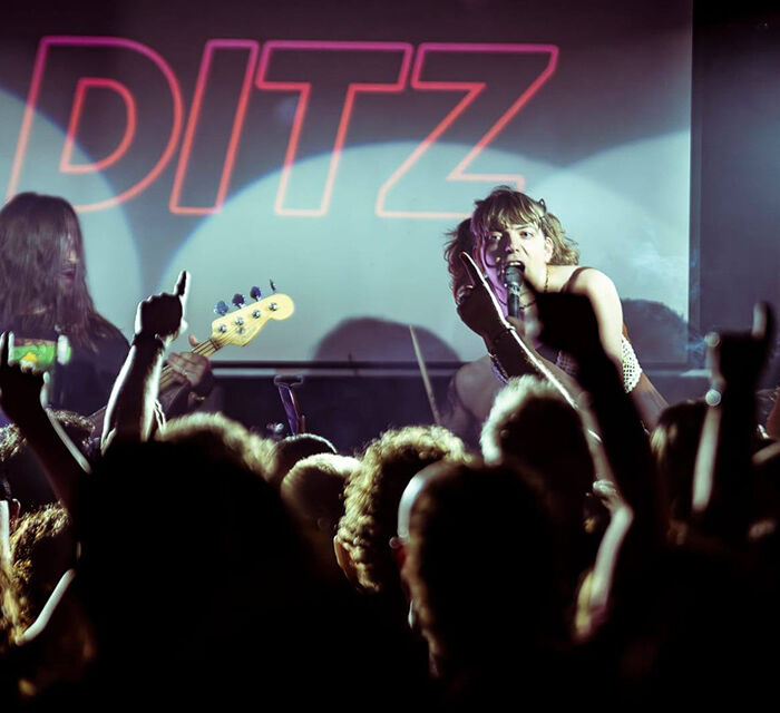 Ditz