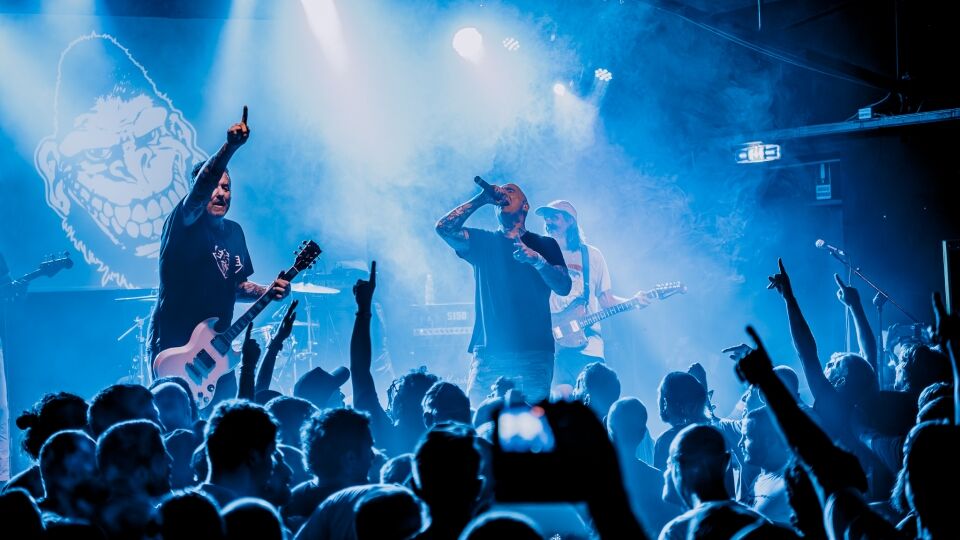 Gorilla Biscuits
