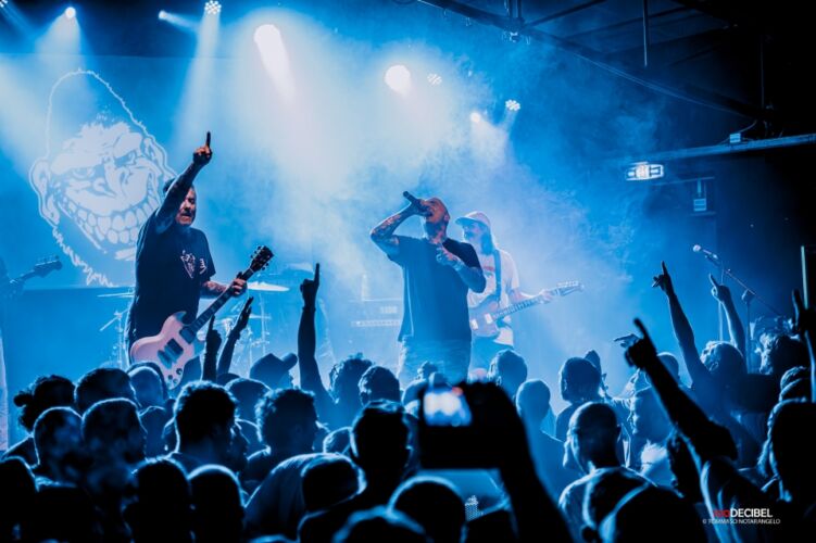 Gorilla Biscuits