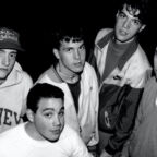 Gorilla Biscuits