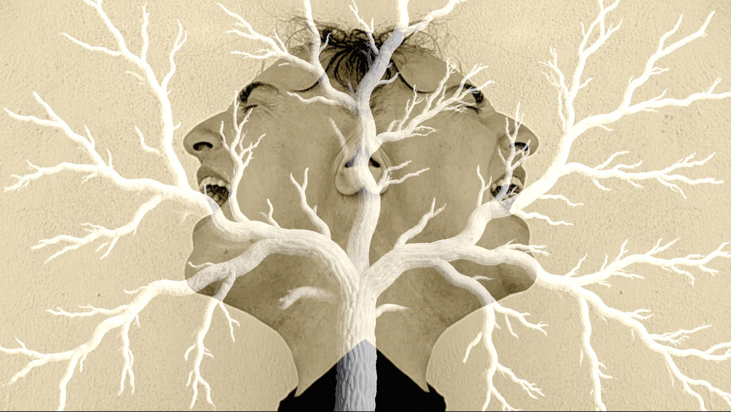 ottodix-artificio-naturale-quando-la-tecnologia-e-natura